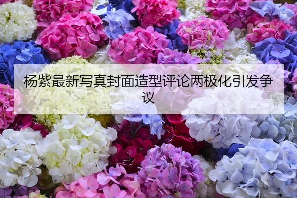 杨紫最新写真封面造型评论两极化引发争议