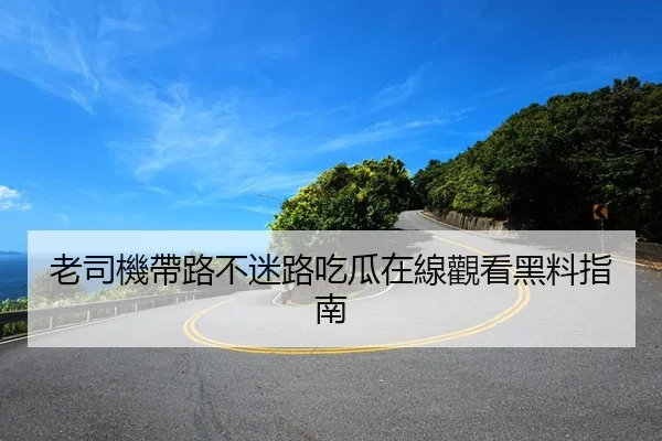 老司機帶路不迷路吃瓜在線觀看黑料指南
